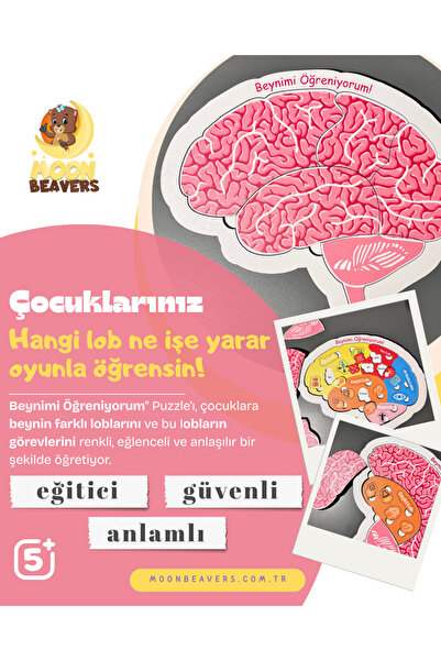 43 cici süsler organizasyon لغز خشبي يساعد على تدريب الدماغ لعمر 5 سنوات فما ...