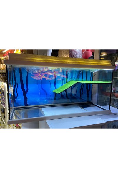 Fauna Pet Supplies Su Kaplumbağası Akvaryumu Işıklı Büyük Boy (100X40X50) Siyah/Beyaz