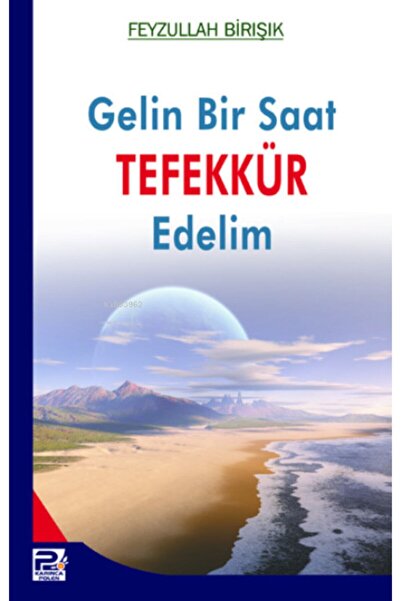 Karınca & Polen Yayınları Bride, Let's Contemplate for an Hour / Feyzullah Birışık / / 9789759066987