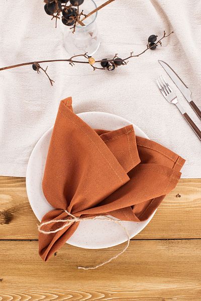 Wellstil Premium Linen Cinnamon Napkin - Set of 6 40X40