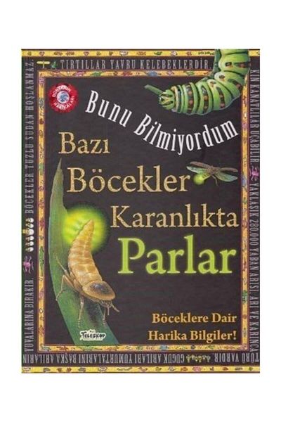 Teleskop Popüler Bilim I Didn'T Know-Some Insects Glow in the Dark-Hardcover