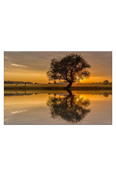 RsStyle Print Tablou Canvas - Reflectia Naturii – Armonie la Apus, 120x80cm