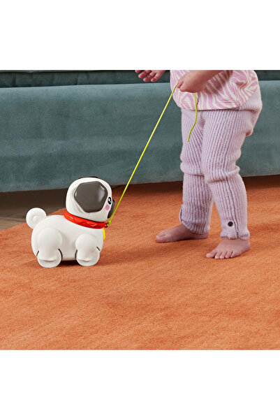 FISHER PRICE Fisher-Price Minik Dostumla Yürüyüş HTW94