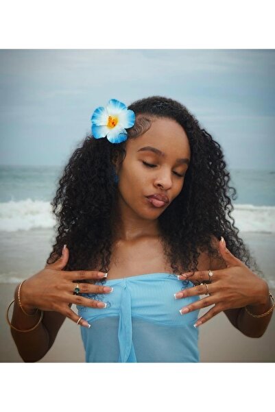 FloresDeCarnaval مشبك تروبيك هيبيسكوس أزرق وأبيض