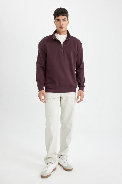 DeFacto Comfortable Zippered Stand Collar Comfort Regular Fit Sweatshirt X7405Az23Au
