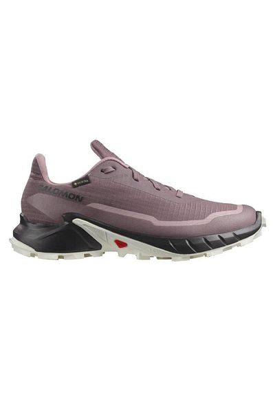 Salomon Pantofi de alergare pe poteci pentru femei Alphacross 5 Gore-Tex-L47311000
