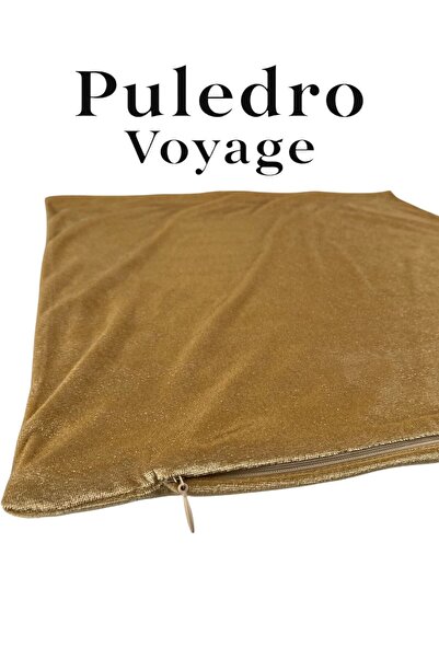 Puledro Set of 2 Soft Velvet Decorative Square Throw Pillow Case Pillow Case 50X50 cm