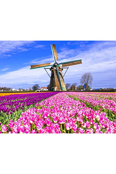 serpildüğme Hı Stone 5d Elmas Boncuk Taş Işleme Mozaik Goblen Kit 30x40cm gün