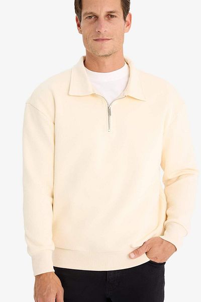 DeFacto Hanorac de bază, solid, gros, cu fermoar, cu guler polo, Relax Fit E5333AX24WN