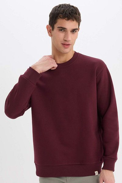 DeFacto Übergroßes, gerades, dickes Basic-Sweatshirt mit Rundhalsausschnitt T5139az24au