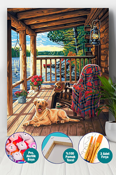 Picasso World Hobby Art Sayılarla Boyama Numaralı Tuval Seti Fırça Boya Dahil...