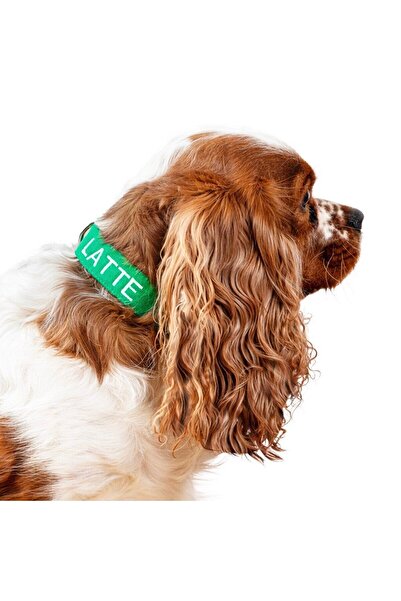 Lusi Doog Kişiye Özel Köpek Boyun Tasması Isme Özel Köpek Tasması Isimli Köpek Tasması (YEŞİL)