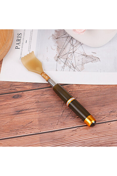 Choice كرة مغناطيسية قابلة للتمديد خضراء اللون، قطعة واحدة، لحك الظهر، مزودة ...