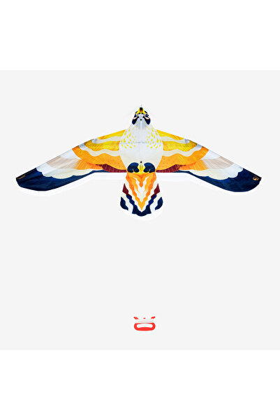 Decathlon Çocuk Statik Uçurtma - Kuş - MFK 150