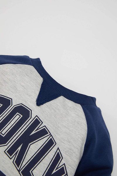 DeFacto Baby Boy Crew Neck εμπριμέ μαλακό γούνινο λεπτό φούτερ D5846A524WN