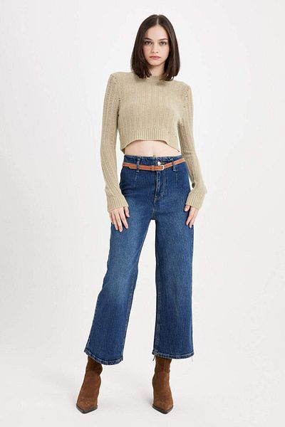 DeFacto Regular Fit Crop Pullover mit Rundhalsausschnitt aus perforiertem Strick C6321AX24WN