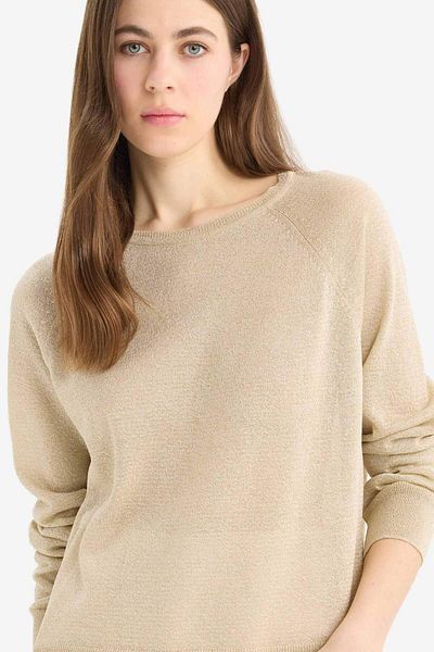 DeFacto Regular Fit Crew Neck Basic Plain Claret Red Knitwear Sweater C6818Ax24Wn