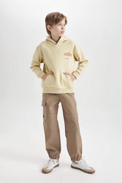 DeFacto Boy's Hooded Back Printed Thick Sweatshirt 3159255