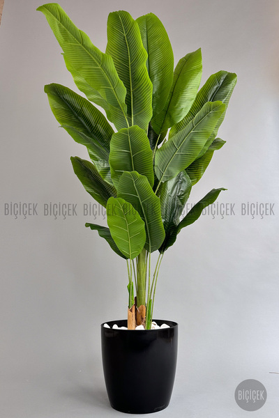 BİÇİÇEK Yapay Ağaç Starliçe Bambu Gövdeli 220cm Büyük Boy Siyah Renk Yakut Saksıda