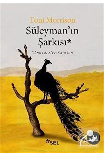 Sel Yayıncılık Süleyman'ın Şarkısı