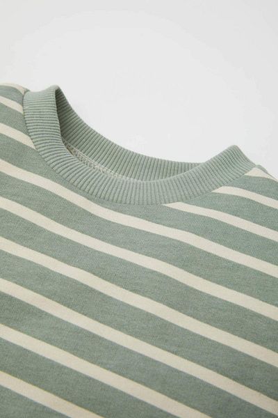 DeFacto Baby Boy Crew Neck Striped Sweatshirt D0699A524Au
