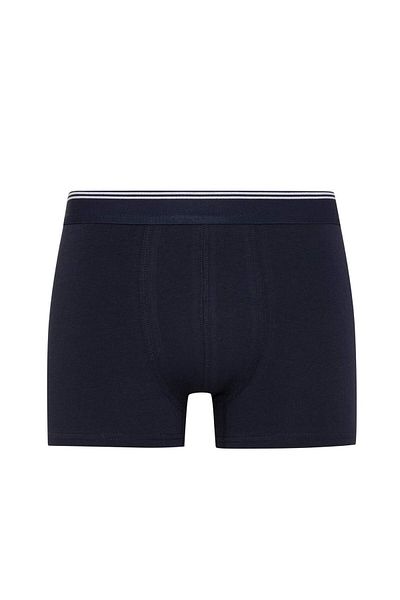 DeFacto Regular Fit 3-Piece Boxer D2314Ax24Au