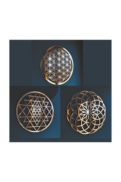 Numa Concept Duvar Dekoru 3'lü Yaşam Çiçeği Gold Pleksi Salon Ofis Ve Antre İçin Tablo | 30x30 Cm