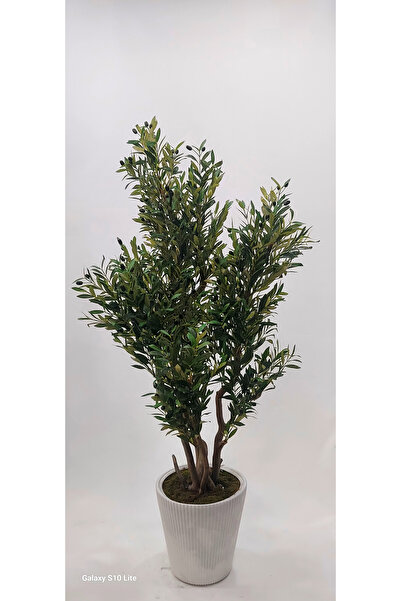 İremÇiçekçilik Tırtıklı Plastik saksıda Yapay Zeytin ağacı - 160 cm