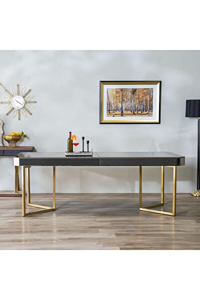 Danube Home Gabby 8-Seater Dining Table - Gold & Antique Mirror Finish, Wood & Stainless Steel, 220x100x77cm