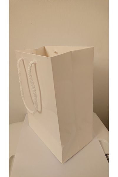 ambalajeonlineRO Sacose-pungi plastifiate albe pentru cadouri 17x10x23 cm-set 100 bucati.
