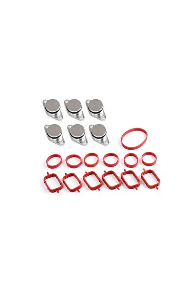 Sirius Store Kit 6 plugs for canceling swirl flaps, BMW M57, 33 mm