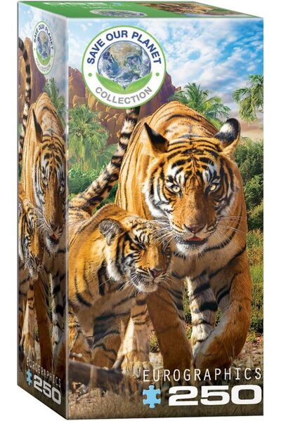 Eurographics لغز النمور 250 قطعة 8251-5559