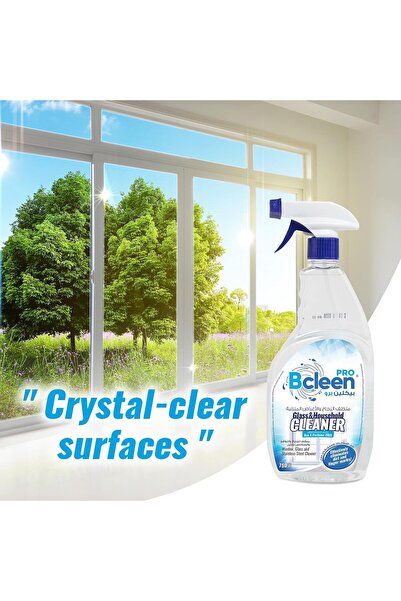 Bcleen Glass & Household Cleaner, Unscented, 750 ml