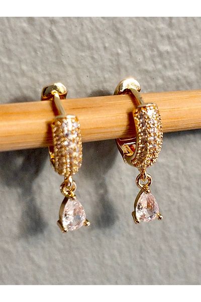 Siya Silver Zircon Stone Drop Model Hanging Steel Earrings