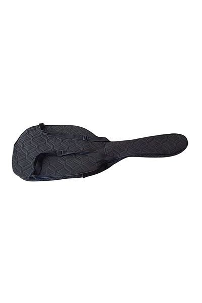 LongMoon Bs200E Electric Guitar Case Fiber