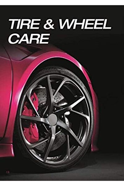Flamingo Car Tire Shine Car Care Tech