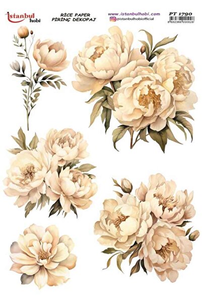 İstanbul Hobi İSTANBUL HOBİ PİRİNÇ DEKOPAJ PT 1790