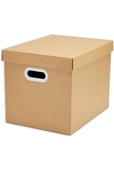 The Bros صناديق تخزين بأغطية، وصناديق تنظيم للمطبخ، والأرفف، والمكتب، والمدرسة، والمنزل (40×31×30.5 سم)