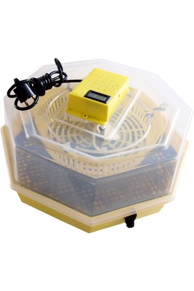ertone Incubator electric cu termometru și dispozitiv de rotire MN9054, 41 de ouă de găină