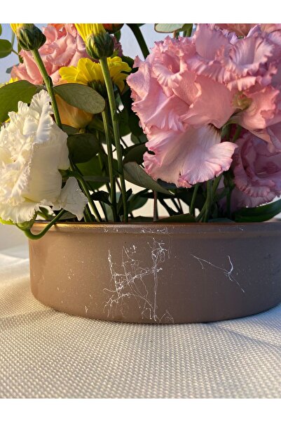 Nova Elite Bonsai Kaktüs Çiçek Aranjman Saksısı