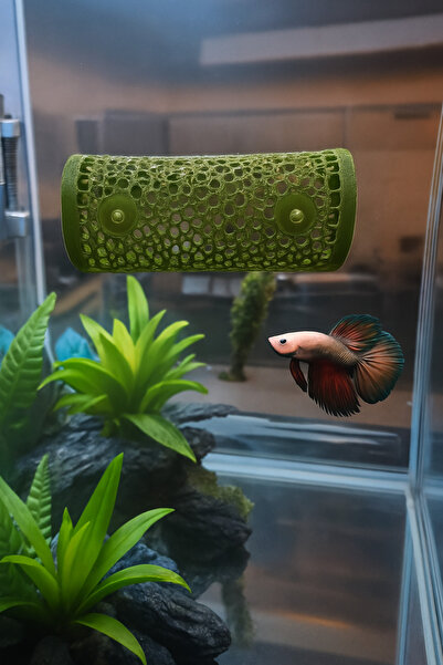 Akvaryum Beta Dinlenme Alanı ☘ Haki Yeşili ☘ Beta Tüneli Beta Üretim Tüpü Bet...