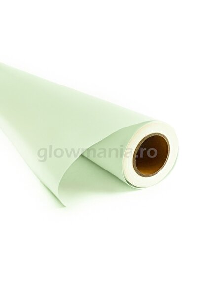 PROCART Neon colored phosphorescent vinyl film White-green 2.5 cm wide