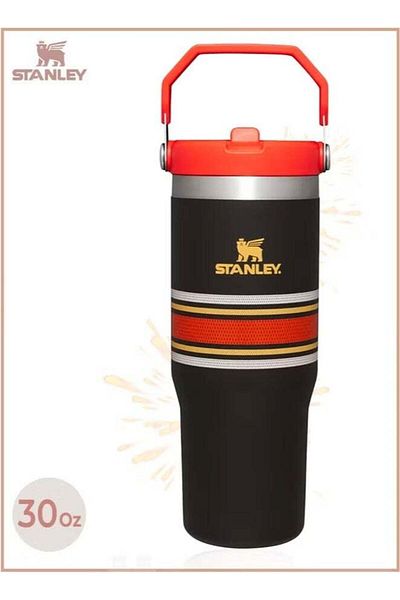 Stanley IceFlow Stainless Steel Tumbler 30oz, Leak-Resistant, Vacuum Insulated Water Bottle with Straw