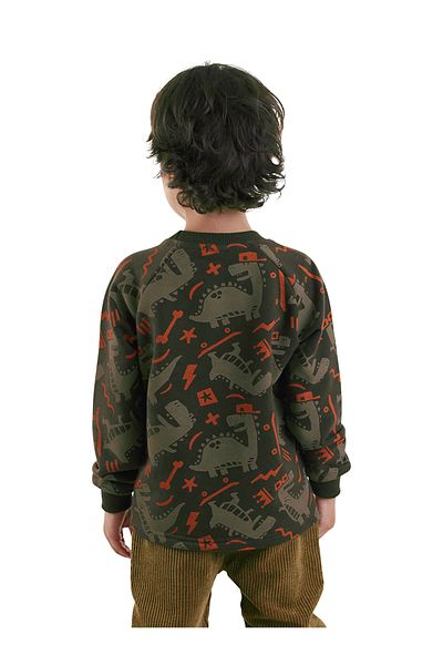 Denokids Skateboard Dino Jungen braunes Sweatshirt