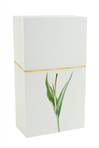 CT STONES Card de cataramă 100 de bucăți