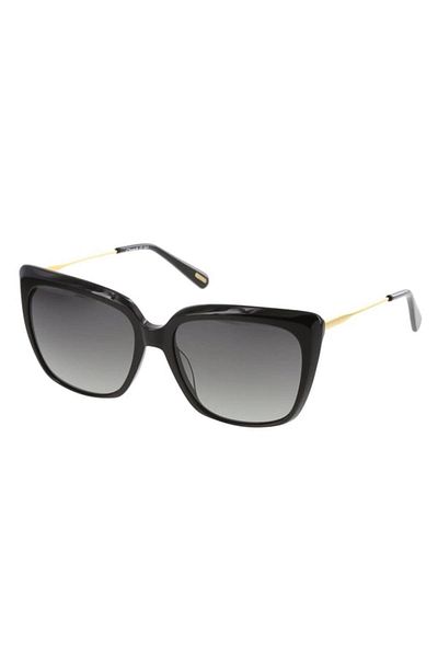 Osse Y OS3557 01 نظارات شمسية للنساء