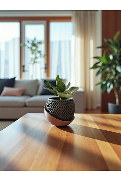 Genel Markalar Desenli Saksı – Drenaj Tabağı ile Modern Tasarım