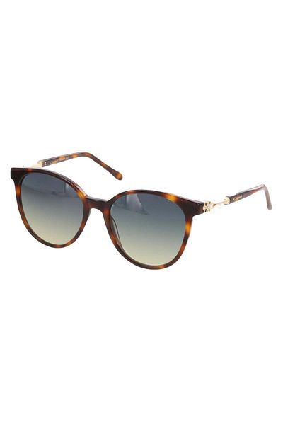 Osse Y OS3586 02 نظارات شمسية للنساء
