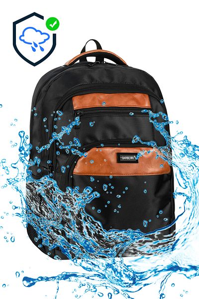 barberri Licensed Waterproof Fabric Unisex School Backpack
