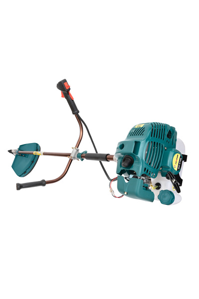 Campion CAMPION Mașină de tuns iarba pe benzină în doi timpi GX-4100, 5,5 CP,...